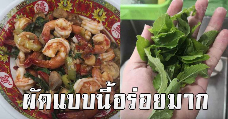 สูตร ผัดกะเพรา ยังไงให้อร่อย ทำง่ายๆใครก็ทำได้ รสชาติเข้มข้น