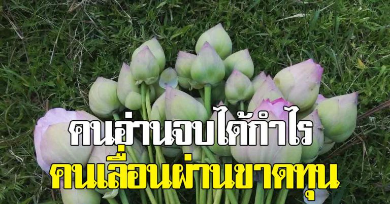 อย่าเลื่อนผ่านนะ 20 ข้อบุญ ไม่ขาดทุน สละเวลาเป็นกำไรของชีวิต