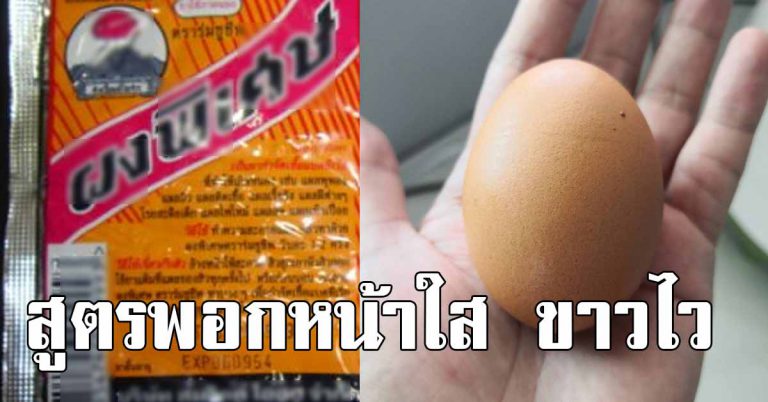 เอาไปทำตาม 3 สูตรพอกหน้าใส ทำทิ้งไว้คืนเดียว ตื่นมาผิวหน้าดี