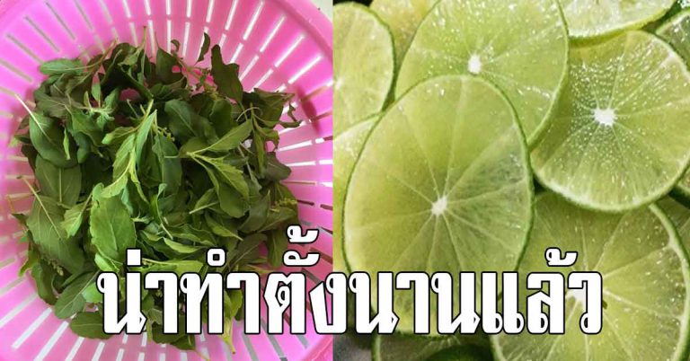 ฝ้าหนา กระแดดขึ้น 5 วิธีบ้านๆ ช่วยให้ลดเลือนให้รอยหายไป