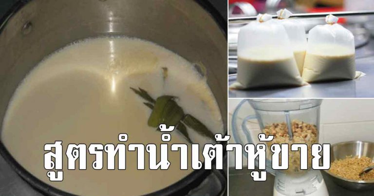 น้ำเต้าหู้ เก็บไว้ทำกินทำขายได้ สูตรทำไม่ต่ำกว่า 30 โล