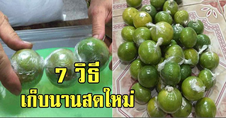 เก็บมะนาวให้สดใหม่ ด้วย 7 เคล็ดลับ เก็บไว้นานได้หลายเดือน