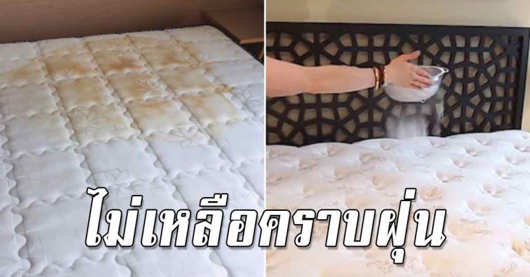 บนฟูกที่นอน ทำความสะอาดได้เหมือนใหม่ ไม่มีหลงเหลือ