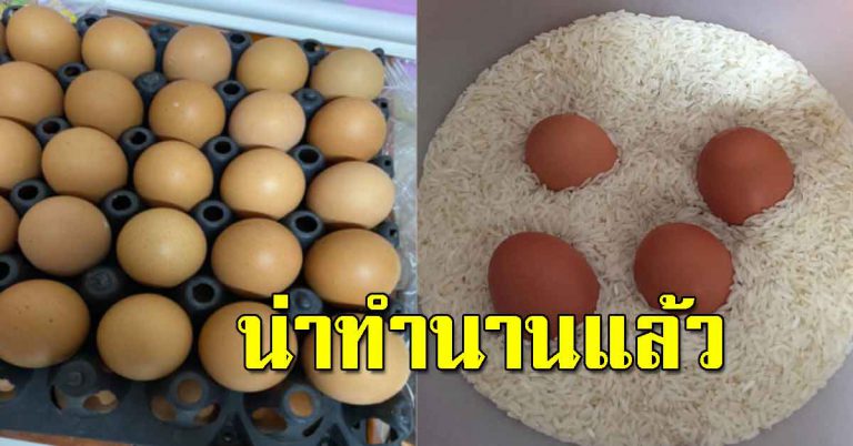 ใส่ไข่ไก่ลงในถังข้าว ทำให้ได้บ่อยๆ สิ่งที่หลายคนมองข้ามไป