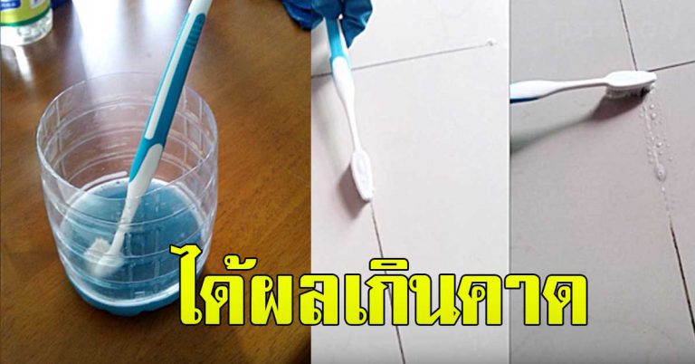 ร่องยาแนว กระเบื้องดำๆที่บ้านคุณ ขาวเหมือนปูกระเบื้องใหม่ วิธีนี่ขาว