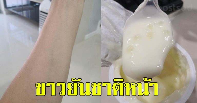 5 วิธี ทำหน้าขาวใสเนียนนุ่ม เพียงคุณมี นมสด กับ แผ่นสำลี