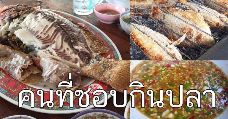 กินปลาทุกวัน ต้องรู้ ใครที่ชอบทานปลาเป็นประจำควรรู้เอาไว้