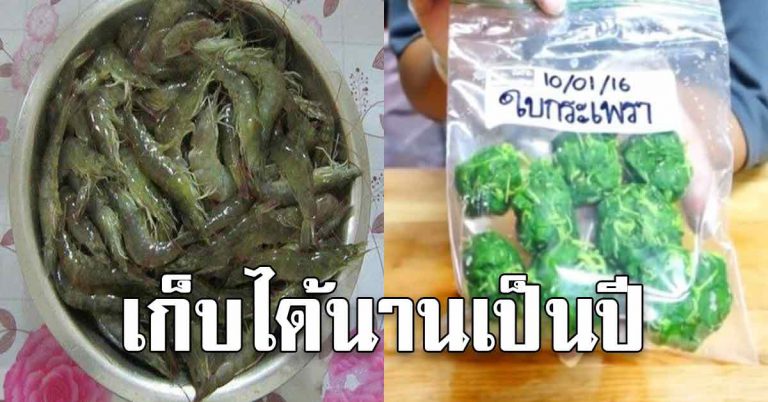 การเก็บกุ้ง เก็บใบกระเพราให้ได้นานเป็นปี สดเหมือนซื้อมาใหม่