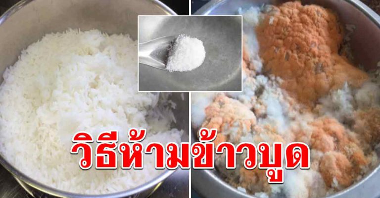 ข้าวใหม่บูดคาหม้อ แก้ด้วยวิธีง่ายๆ ไม่ต้องทิ้ง