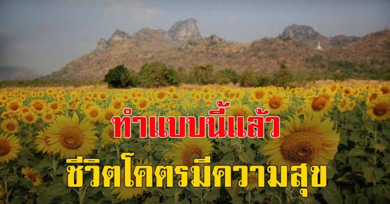 กฎ 5 ข้อของคนที่มีความสุข อ่านกี่ทีก็ไม่มีเบื่อ