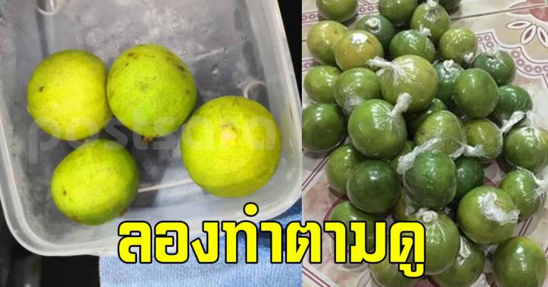 ทำแบบนี่ เทคนิคเก็บมะนาวให้สดใหม่ อยู่ได้นานถึง 6 เดือน