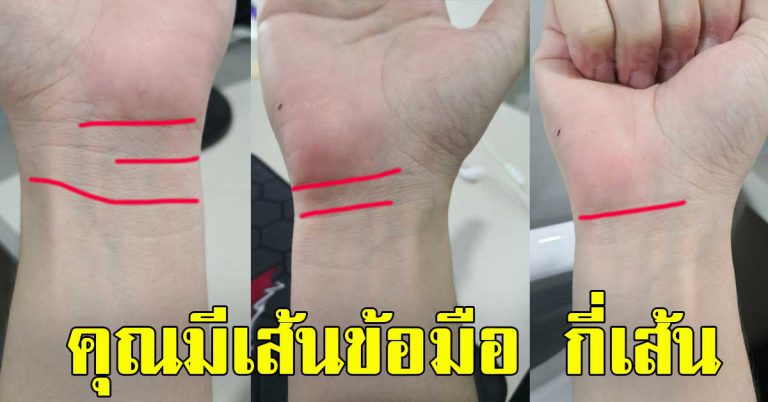 4 เส้นบนข้อมือ เส้นสื่อถึงอนาคต จะมีชีวิตเป็นยังไง