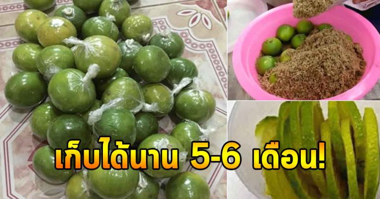 ทริคง่ายๆ 8 ข้อ เก็บมะนาวให้เปรี้ยวสดใหม่ ได้นานหลายเดือน