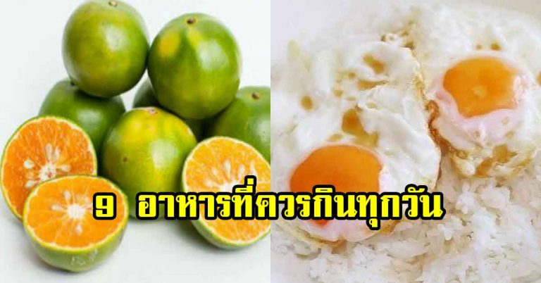 อาหารมีประโยชน์ 9 อย่าง กินได้ทุกวัน หาซื้อได้ง่าย