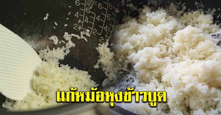 ข้าวบูดคาหม้อ ทำยังไงให้ไม่บูด ทำแล้วหายไม่มีกลิ่น