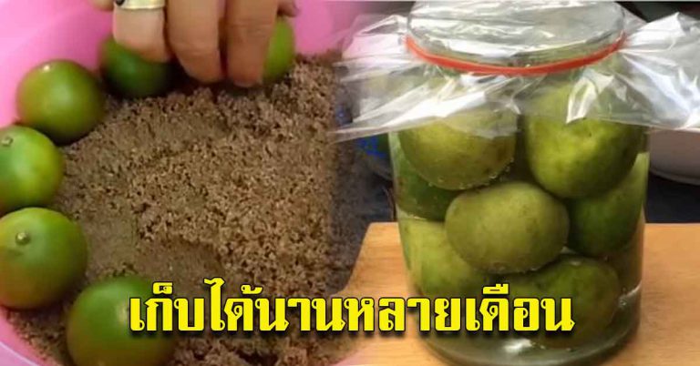 ทริค 8 ข้อ เก็บมะนาวให้เปรี้ยว ได้นานหลายเดือน