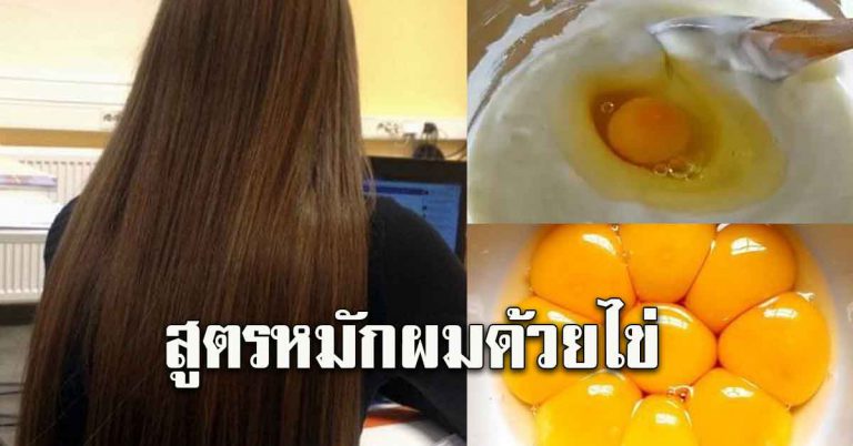 หมักผมด้วยไข่ขาว แก้ปัญหาผมเสีย แบบประหยัด