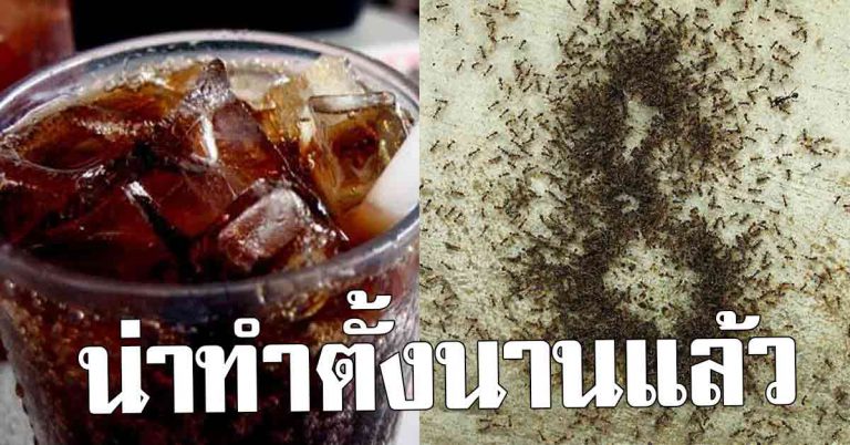 น้ำอัดลม ผสมน้ำยาล้างจาน 5 ประโยชน์ ไม่รู้มาก่อน