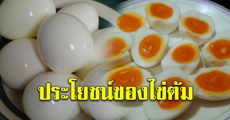 คนที่ชอบกินประจำ ประโยชน์ไข่ต้ม ข้อดีที่ไม่ควรมองข้าม