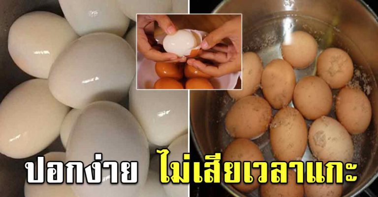 เก็บไว้ทำ ต้มไข่ให้ไม่แตก ปลอกเปลือกง่าย