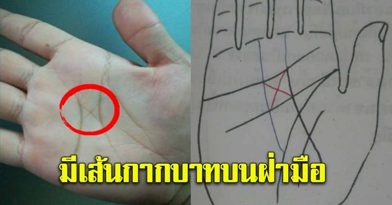 ลายมือ กากบาทฝ่ามือ บ่งบอกมีวาสนา ความหมายดีสุดเลย