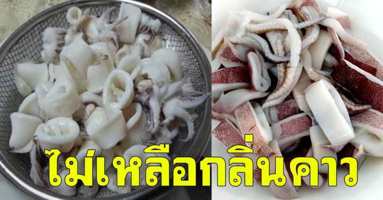 ล้างปลาหมึก ให้เนื้อเด้ง กรอบ ไม่ให้มีกลิ่นเหม็นคาว แค่ 2 นาที