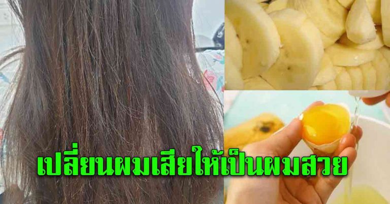 เส้นผมแห้ง ผมชี้ฟู หมักด้วย 4 สูตร ทำให้กลับมานุ่มสวย