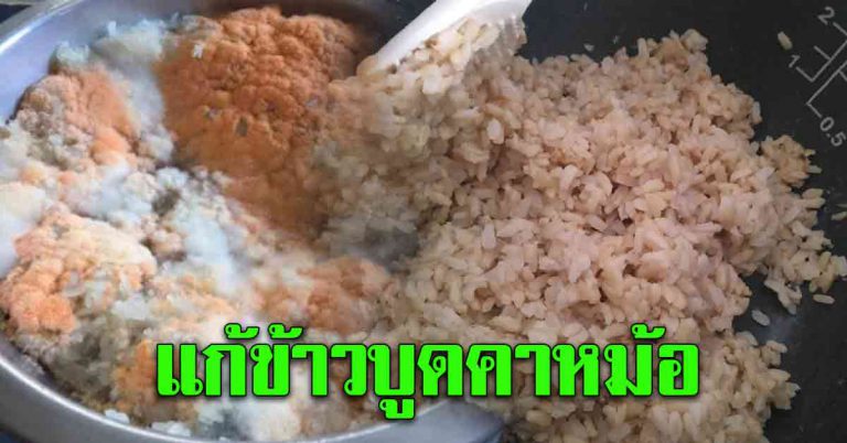 ข้าวบูดคาหม้อ หุงใหม่ยังบูด เคล็ดไม่ลับในครัวแก้ได้ง่าย