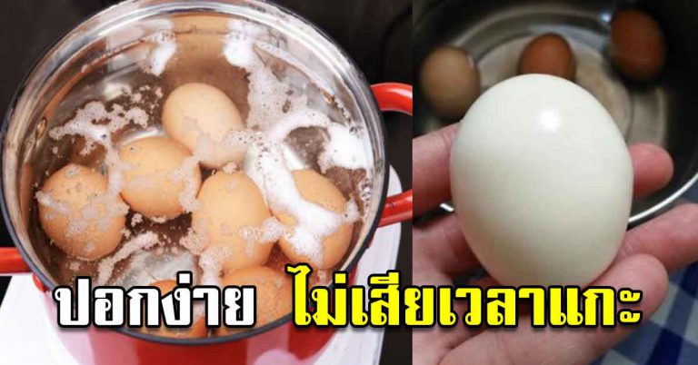 เคล็ดลับต้มไข่ ไม่ให้แตกปอกเปลือกง่าย หลายคนมองข้ามไป