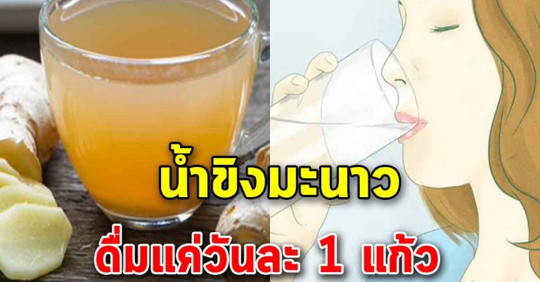 เครื่องดื่มขิงมะนาว ชงทุกวัน 1 แก้ว ผิวขาวเนียนใส