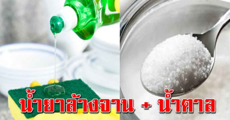 แม่บ้านรู้ ใช้น้ำยาล้างจาน น้ำตาล ช่วยให้สะอาดง่ายๆ