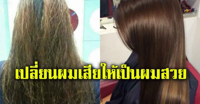 เส้นผมแห้ง ชี้ฟู ทำให้กลับมาสวย 6 สูตร นุ่มลื่นดูเงางาม