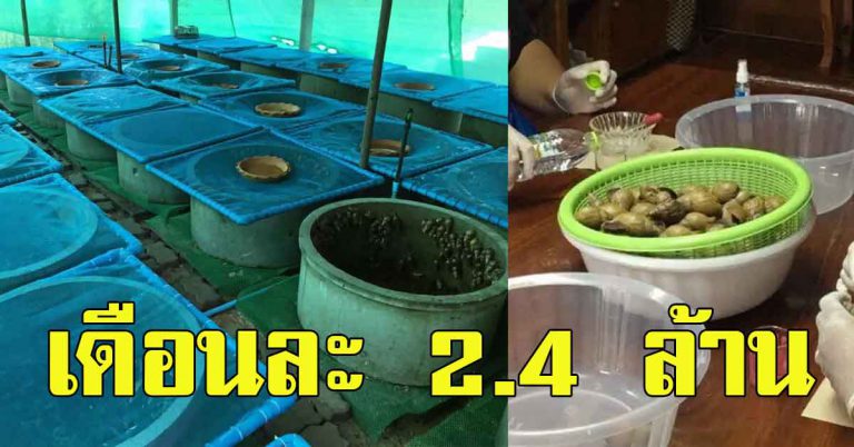 สัตว์เศรษฐกิจ เผยลงทุนแค่ครั้งเดียว 20 วัน กำไร 2.4 ล้านบาท