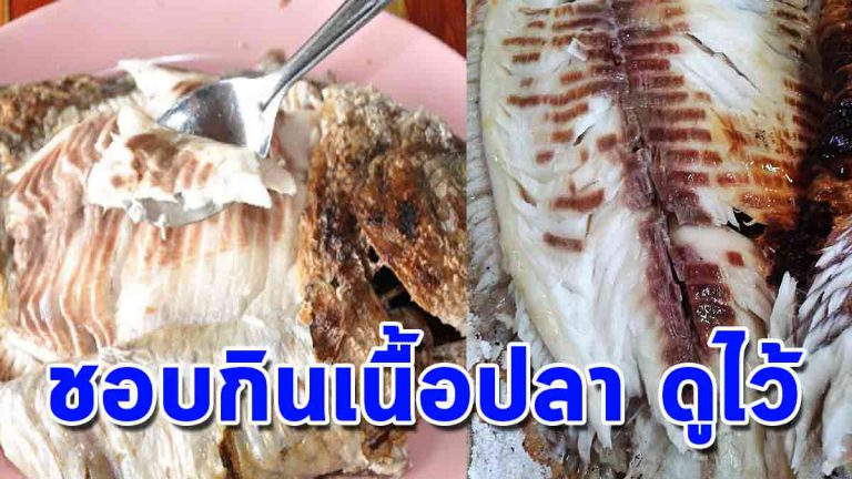 กินปลาบ่อยๆ 6 สิ่งที่เกิดขึ้น หากคุณกินปลาทุกวัน