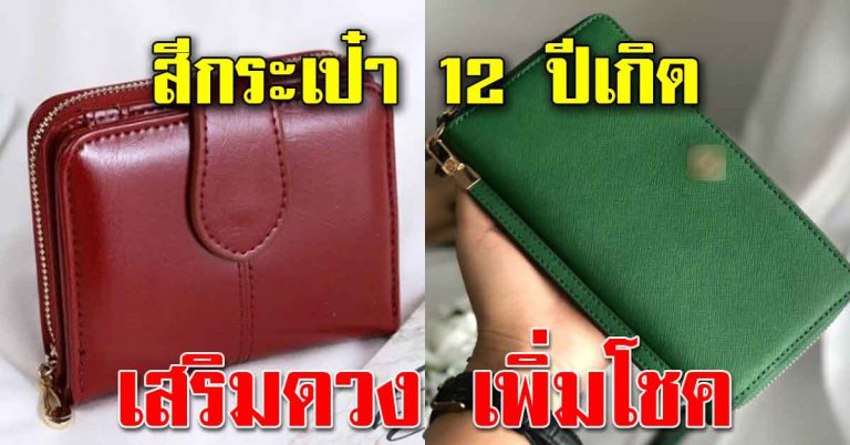 สีกระเป๋าเพิ่มพูนทรัพย์ ตาม 12 ปีเกิด สีไหนดีดูดเงิน