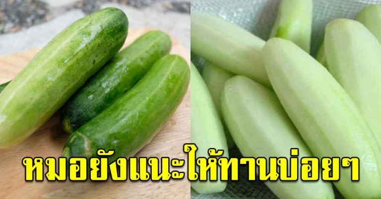 ผักแตงกวา กินให้ได้ทุกวัน ซื้อติดเอาไว้ ประโยชน์เต็มๆ