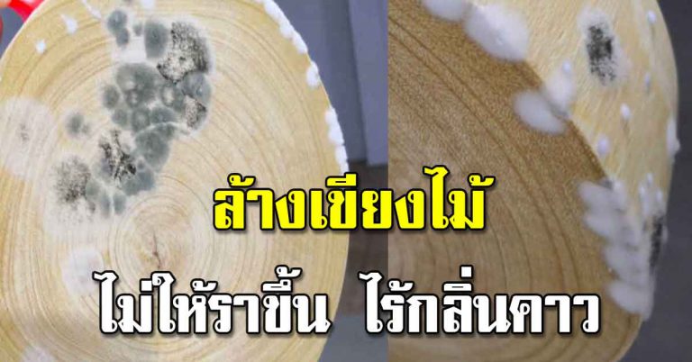 เขียงไม้ อุปกรณ์ทำอาหาร มีกลิ่นคาวอาหารล้างไม่ออก