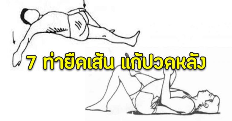 ยืดเส้นใน 7 ท่า ทำได้เองง่ายๆ ไม่ต้องใช้อุปกรณ์ เบาสบายตัว