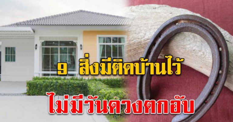 หามาไว้ในบ้านของ 9 อย่าง นำพาความมั่งมี โชคดี