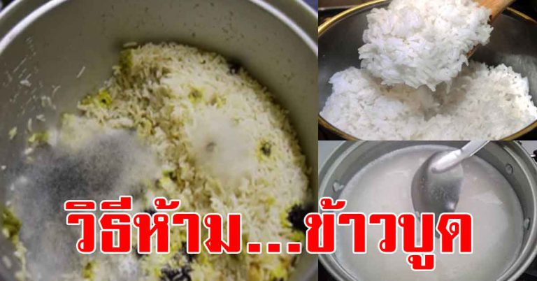 ข้าวบูดเร็ว แก้ปัญหาได้ง่ายด้วยของใช้ในบ้าน ไม่ต้องซื้อใหม่