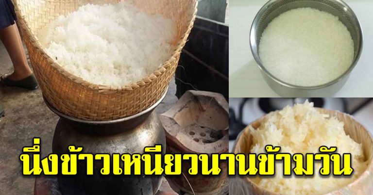 ข้าวเหนียว เคล็ดลับให้นุ่มข้ามวัน แช่เย็นก็ไม่แข็ง