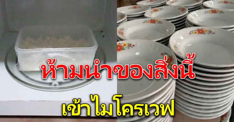 ภาชนะที่ไม่ใช้กับเครื่องไมโครเวฟ 6 อย่าง หลายคนใช้อยู่ประจำ