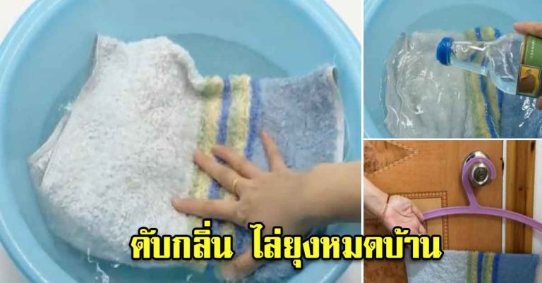 ผ้าเก่า อย่าเพิ่งทิ้งไป เอามาช่วยได้เยอะ ไล่หมดบ้าน