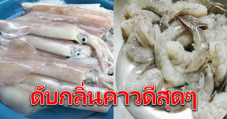 อาหารทะเล กุ้งหมึก ปลา ล้างให้หมดกลิ่นง่ายๆ ทำอาหารอร่อย