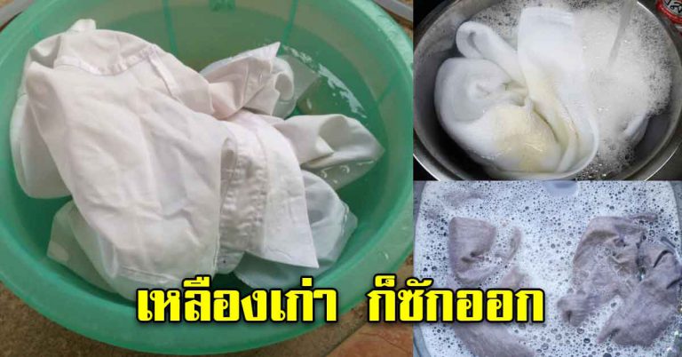 ผ้าสีขาวหมอง เหลือง ซักออกหมด 7 วิธี สะอาดเหมือนตัวใหม่