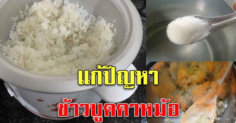 ข้าวบูด มีกลิ่นคาหม้อ หุงข้าวใหม่ก็บูด วิธีการแก้ให้หาย