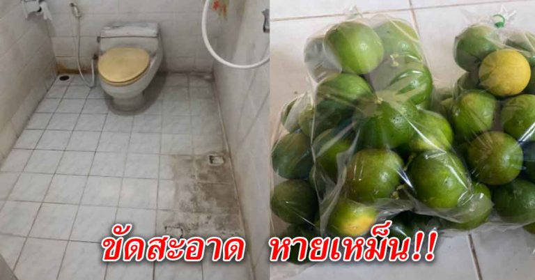 6 เคล็ดลับวิธี แก้ห้องน้ำมีกลิ่นแรง ใช้ได้หมด พื้นกระเบื้อง ผนัง