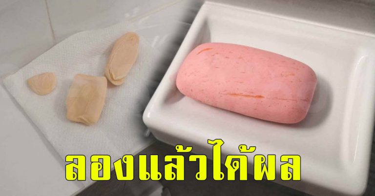 เศษสบู่ อย่าไปทิ้ง 10 ประโยชน์สบู่ ผลลัพธ์ดีมาก