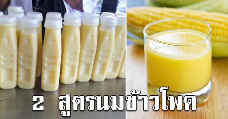 เครื่องดื่มนมข้าวโพดรสอร่อย 2 สูตร ทำเองง่ายๆ รสชาติดีมาก