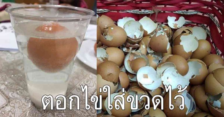 ตอกเปลือกไข่ เทใส่ในขวด เพิ่งรู้ว่าทำได้